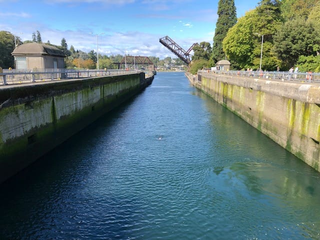 Breaching Locks and Sen. Ericksen’s Stunt Legislation