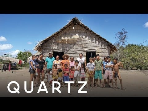 Sunday Video: How To Protect The Amazon Rainforest