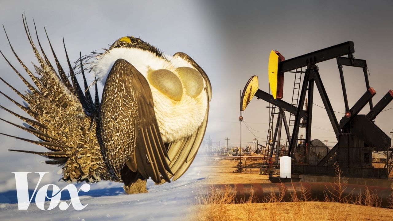                      Sunday Video: Indicator Species of the West
                     