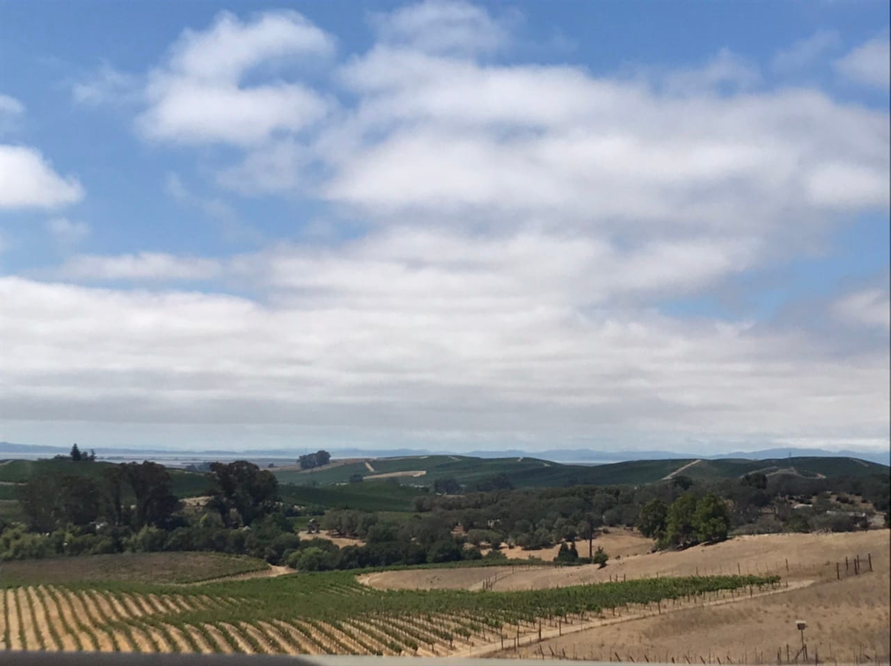 What We’re Reading: 15-Minute Cities, ACUs, and NZ Zoning Reform