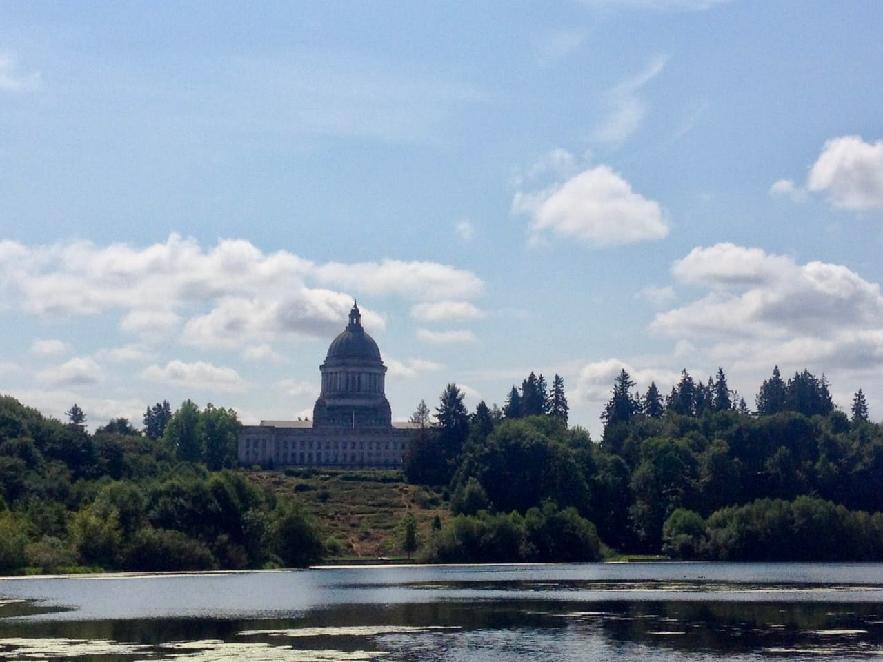 2020 August Primary Election Results: Early Returns