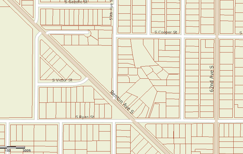 Some very strange lots going on in the block between Renton Ave S and S Cooper St.