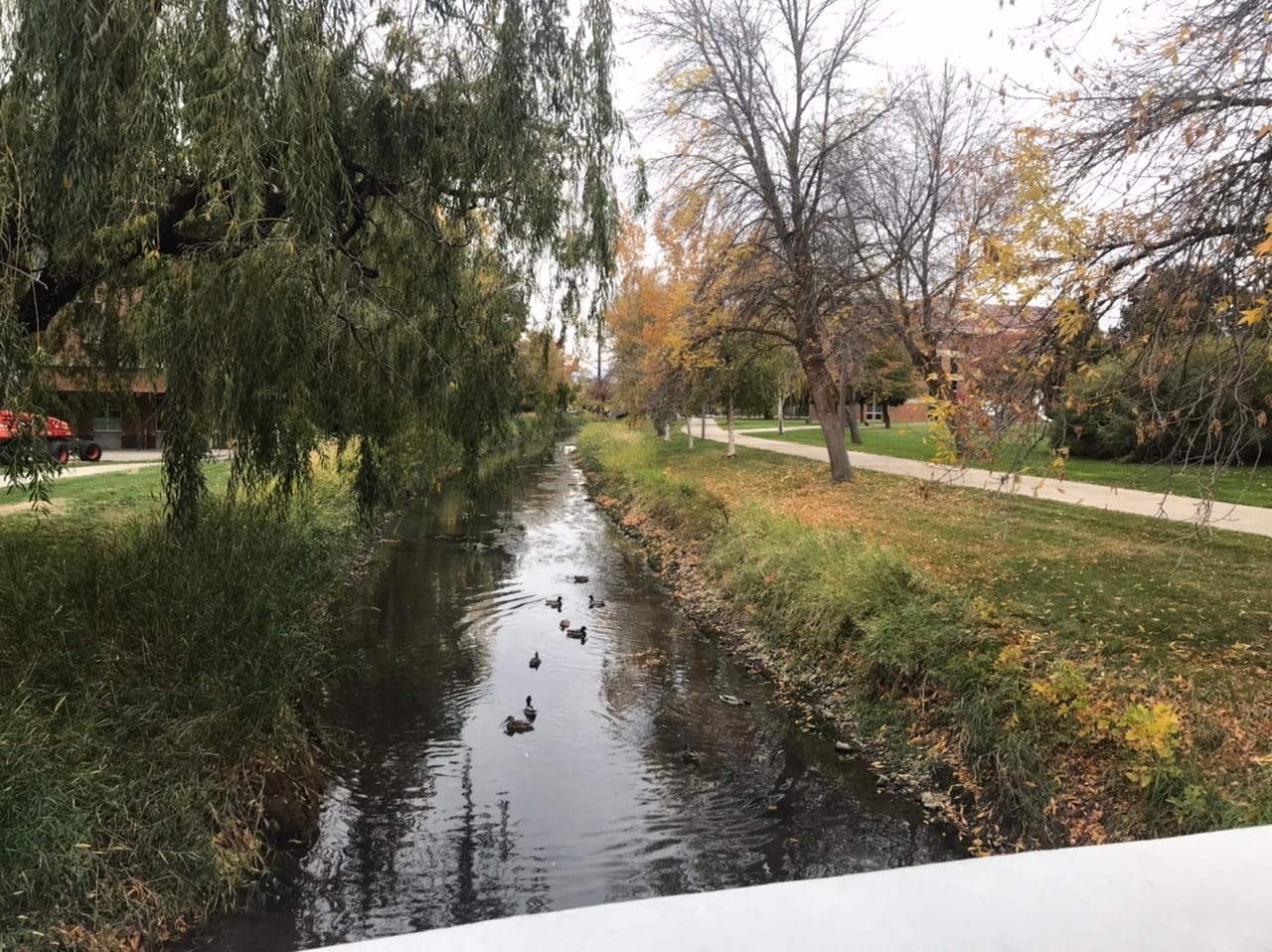 What We’re Reading: PDX BRT, Preserving Affordable Housing, and E-Scooter Crashes