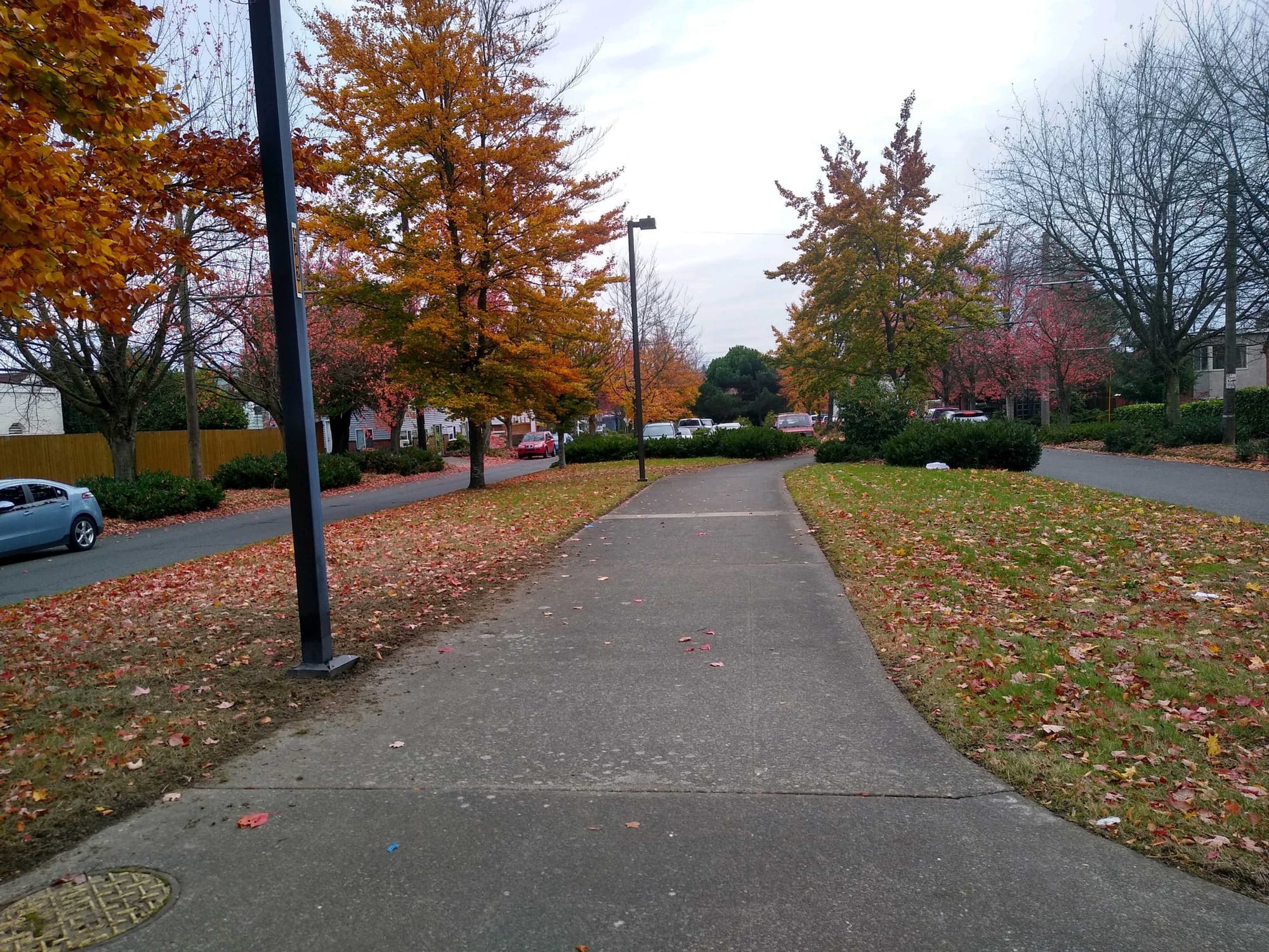 A First Look at the Beacon Hill Safe Bike Route Proposal