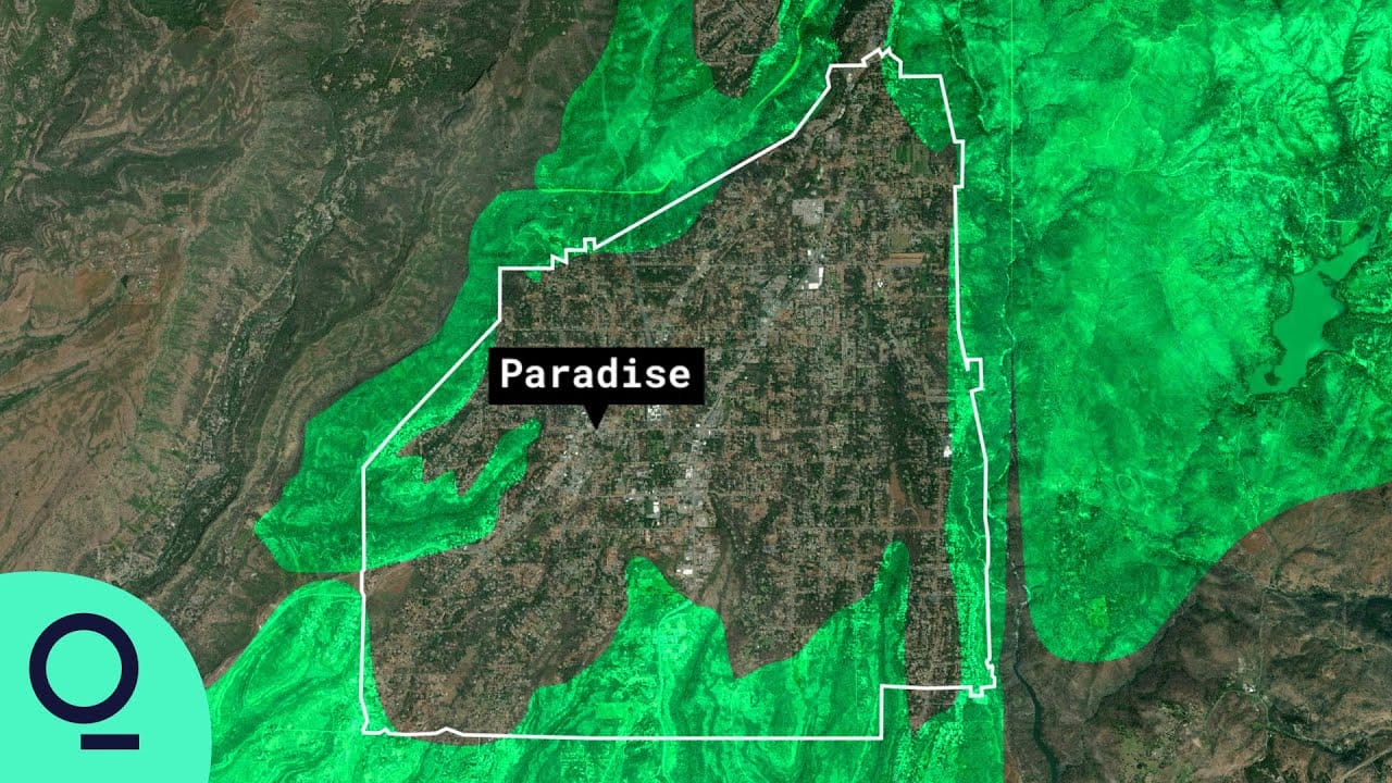 Sunday Video: The Price of Saving Paradise