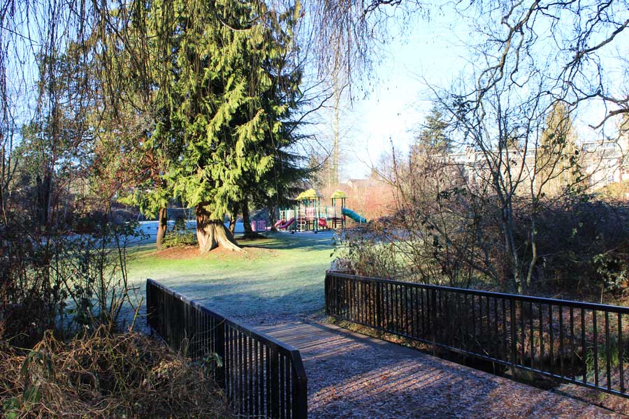                      Shoreline Sends Parks Expansion to April 27th Ballot
                     