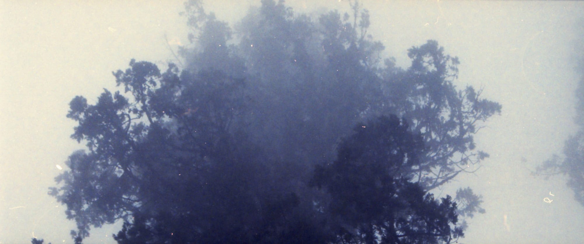 The View From Nathan’s Bus: Uptown Redwood