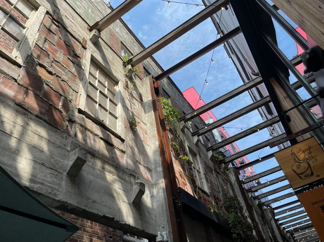 What We’re Reading: No Parking Minimums, Tree Train, and Maglev