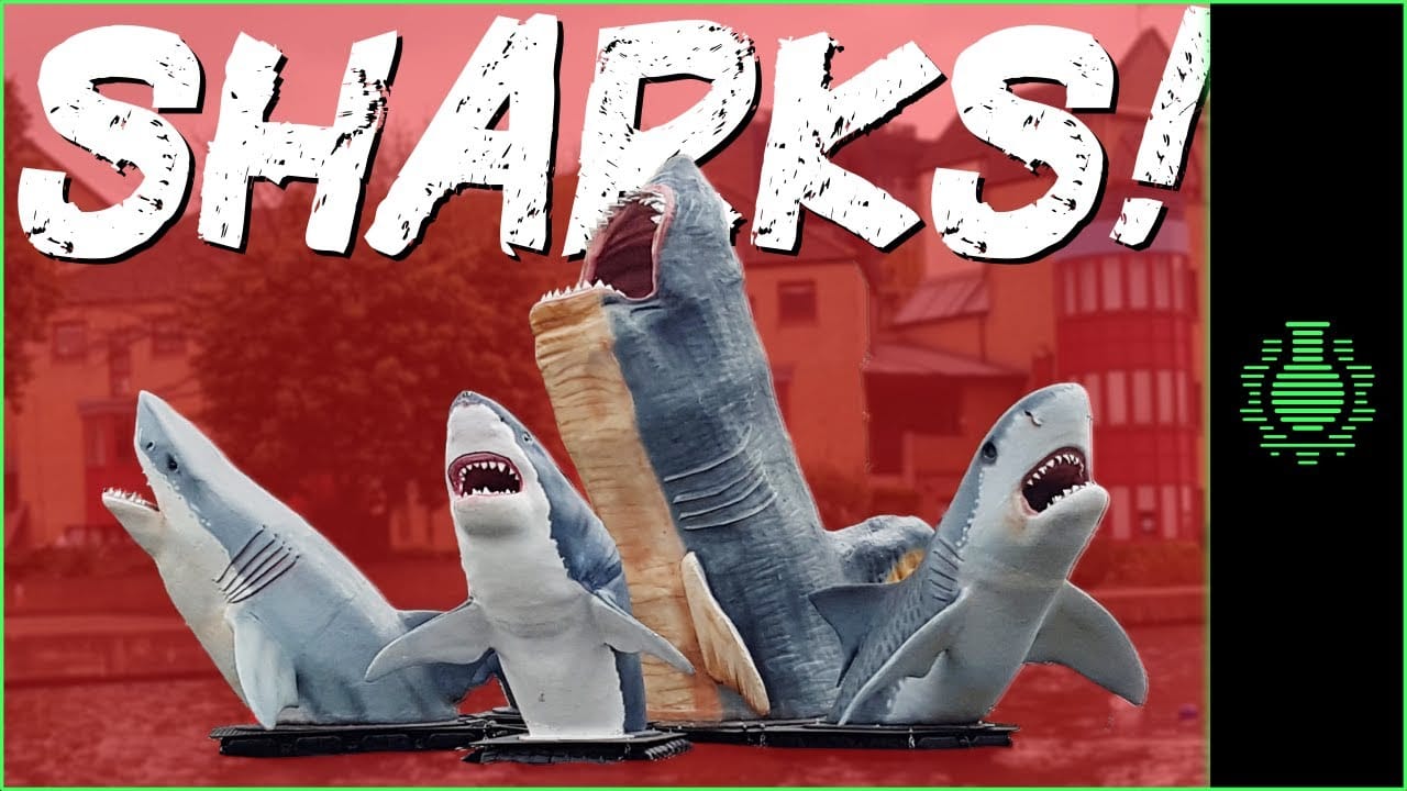                      Midweek Video: The Battle of SHARKS!
                     