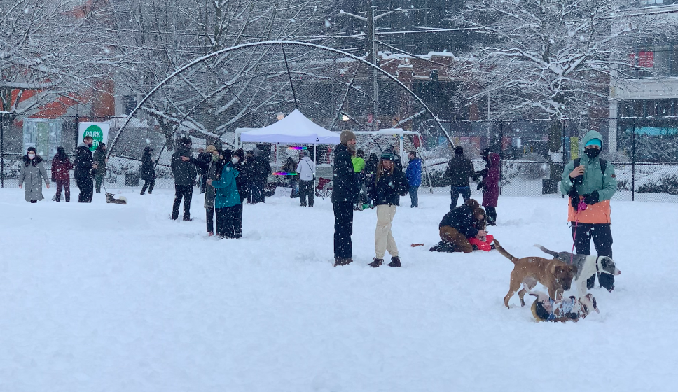 
                     A photo of people and dogs in a park in the snow.
                     