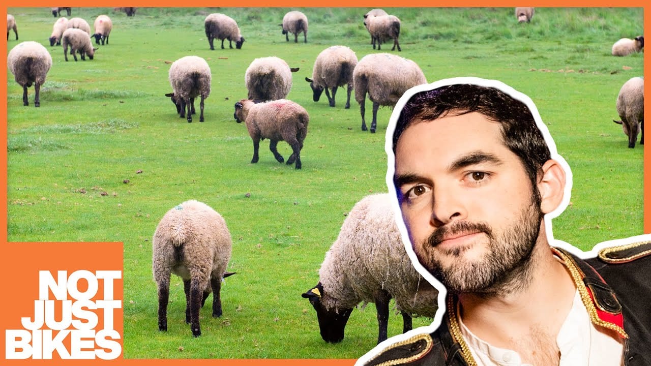 Sunday Video: Dutch Cities Are Better For The Climate