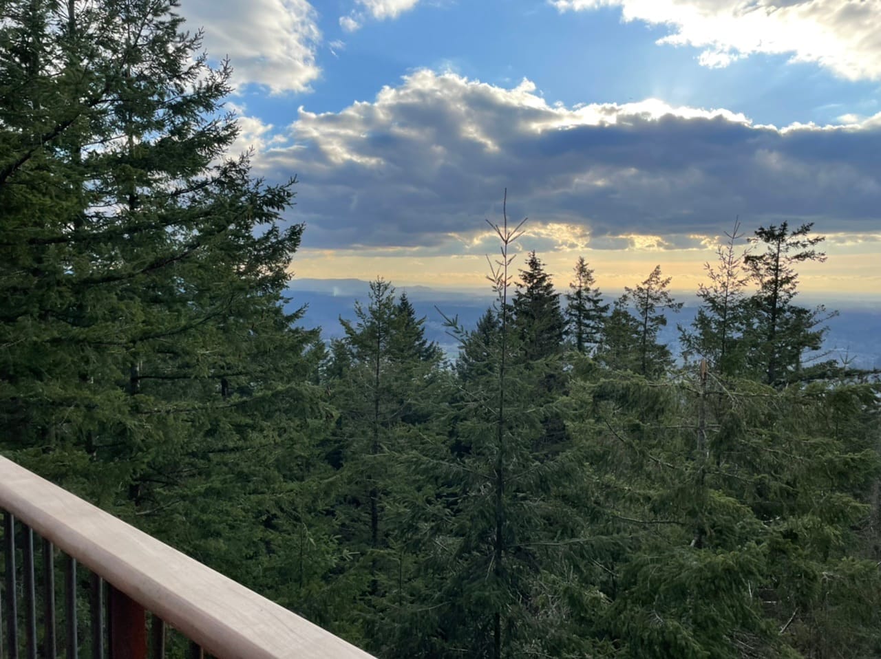 What We’re Reading: Quiet Zone, LVT, and Renter Protections