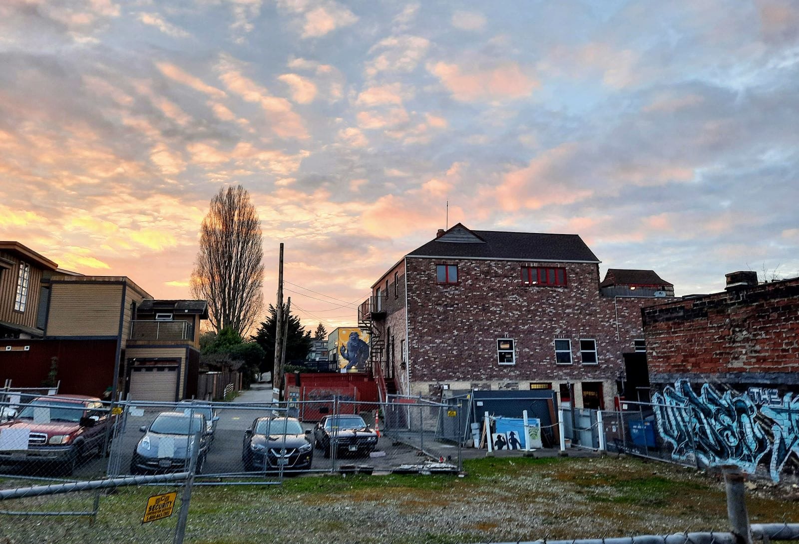 Seattle Tightens Regulations on Tree Service Providers