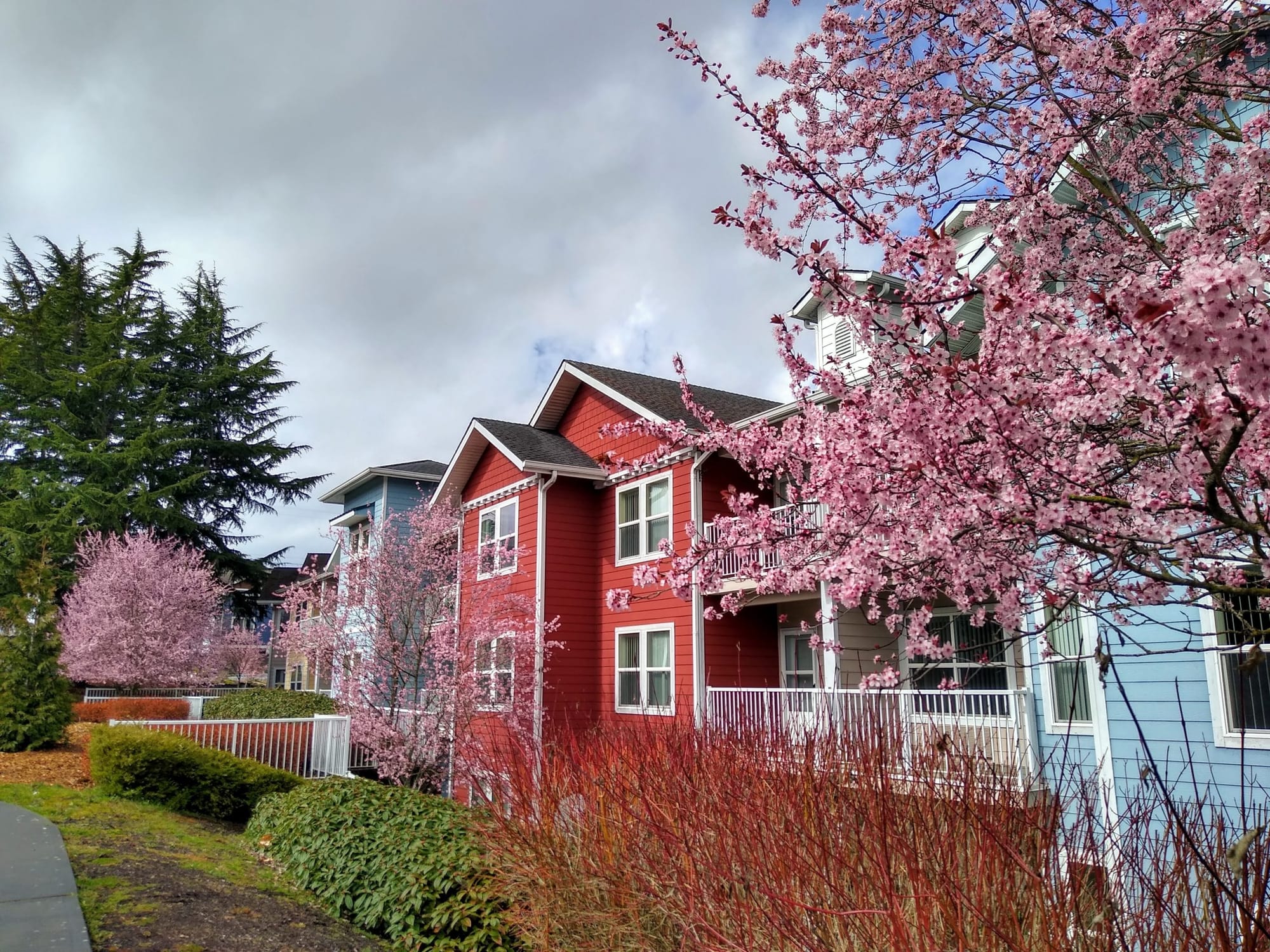 The Seattle Region Must Embrace Housing Abundance