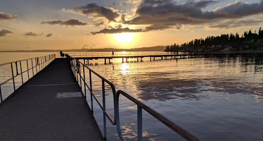 Grassroots Activists Share Their Path to Success in Sunsetting Inequitable Community Councils