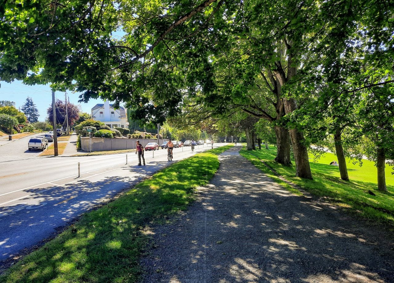 Op-Ed: Correcting the Narrative about Seattle’s Tree Ordinance