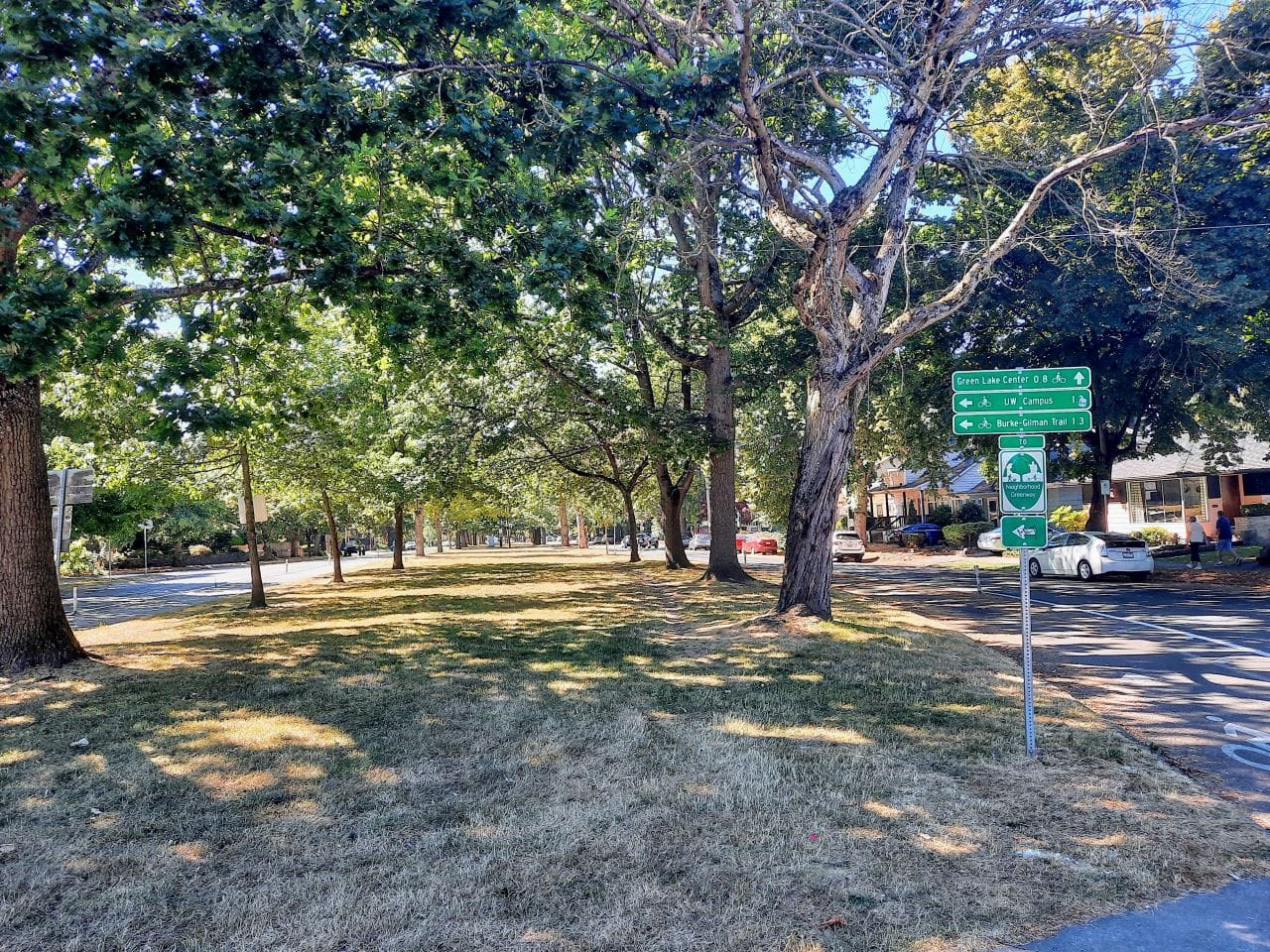 Seattle Can Take Its New Tree Ordinance and Apply It to Itself