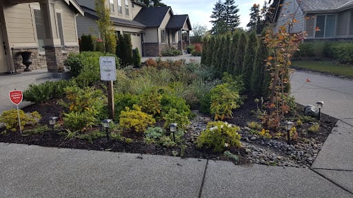 Salmon Killing Chemicals Can Be Treated with Bioretention, but King County Says No