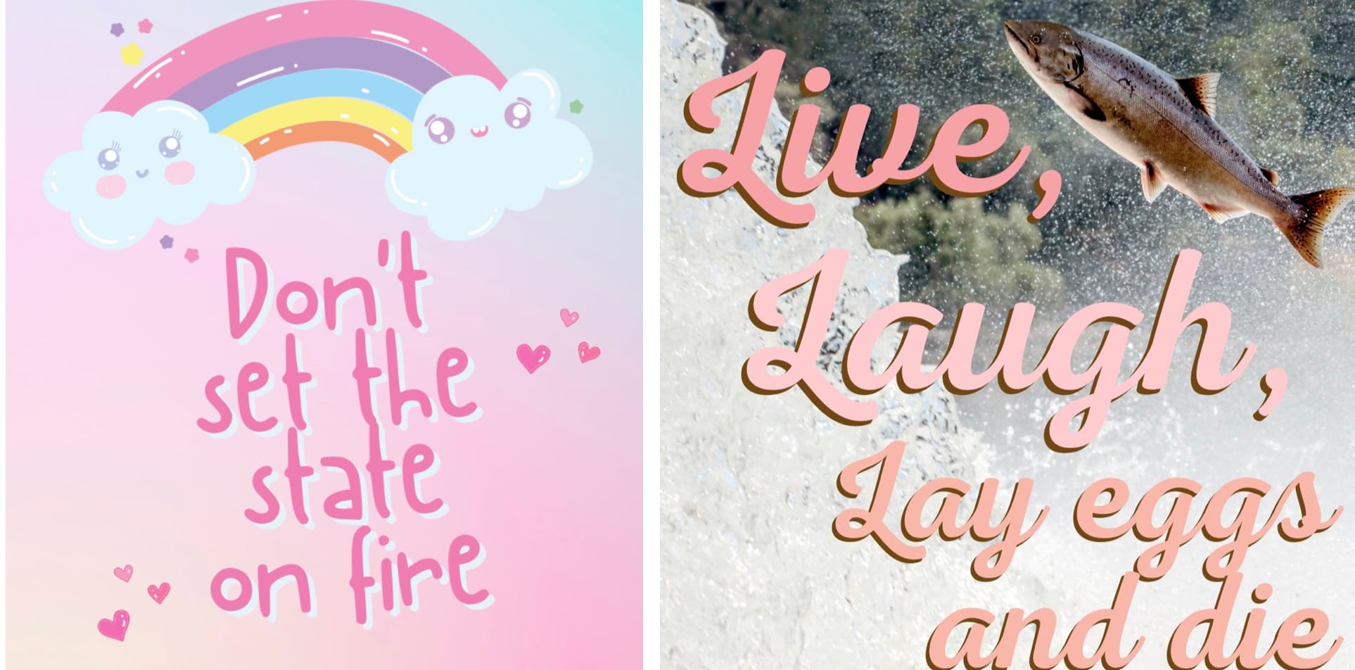 Connecting DNR’s “Many Great Stories to Tell” Through Amazing Social Media