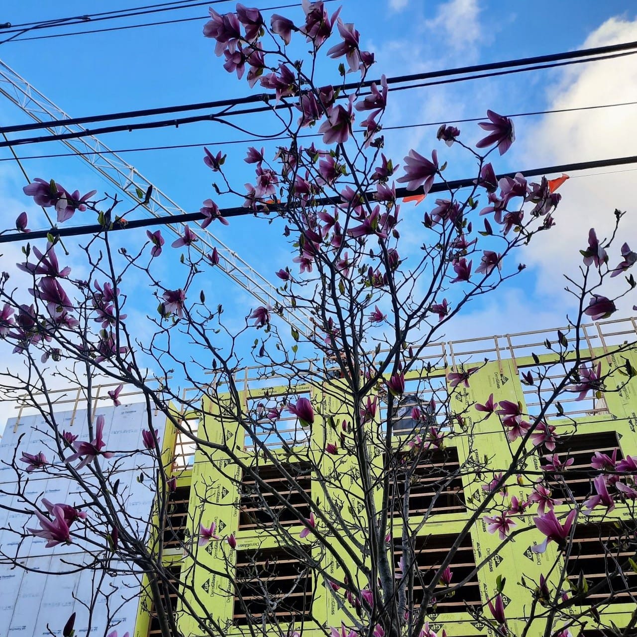 State Lawmakers Must Pass Middle Housing Bill and Strip Poison Pill from TOD Bill