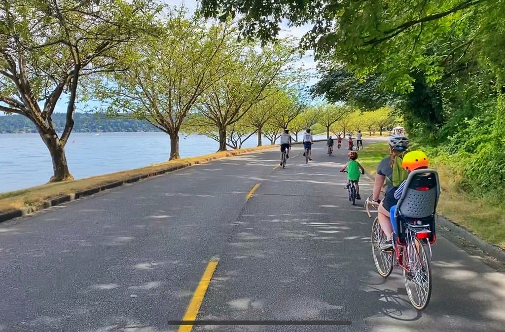 Op-Ed: Latest Hit-and-Run Shows Harrell’s Failure on Lake Washington Boulevard Safety