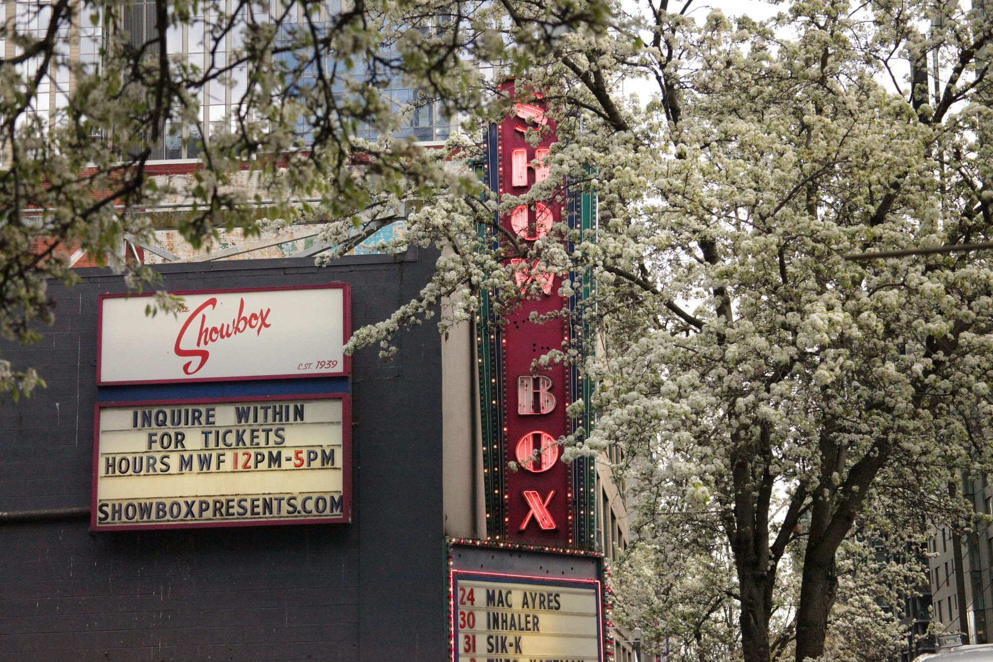 Bellingham and Seattle Balance Urban Forestry with Housing Needs