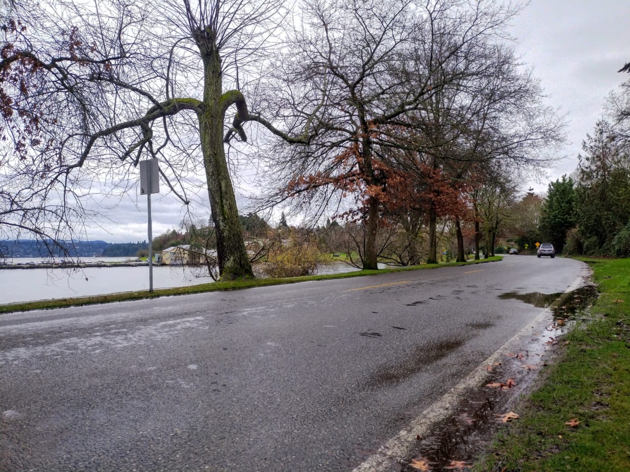 Promised Lake Washington Boulevard Traffic Calming Remains Uncompleted