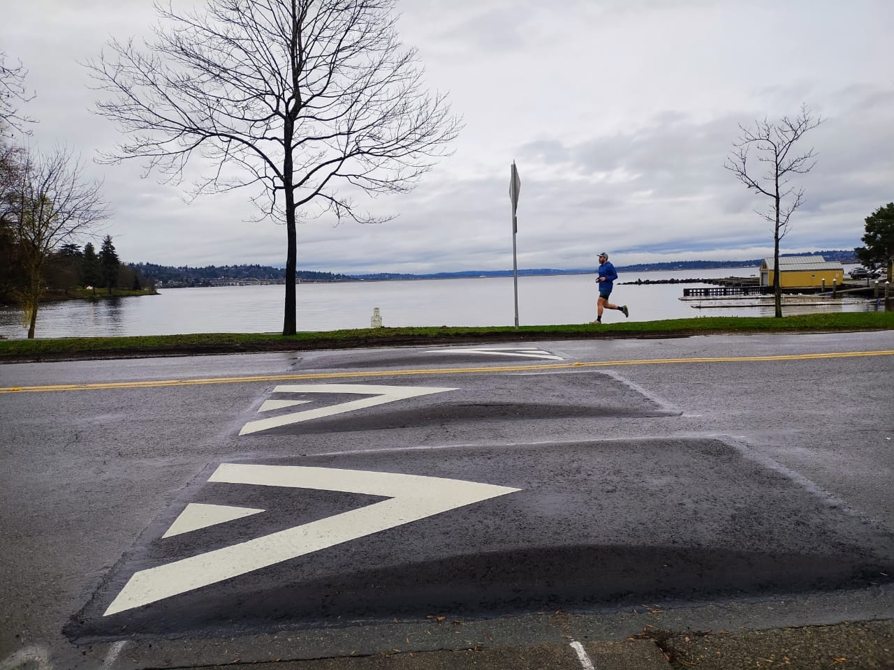 Harrell Administration Cancels Planned Lake Washington Boulevard Safety Upgrades