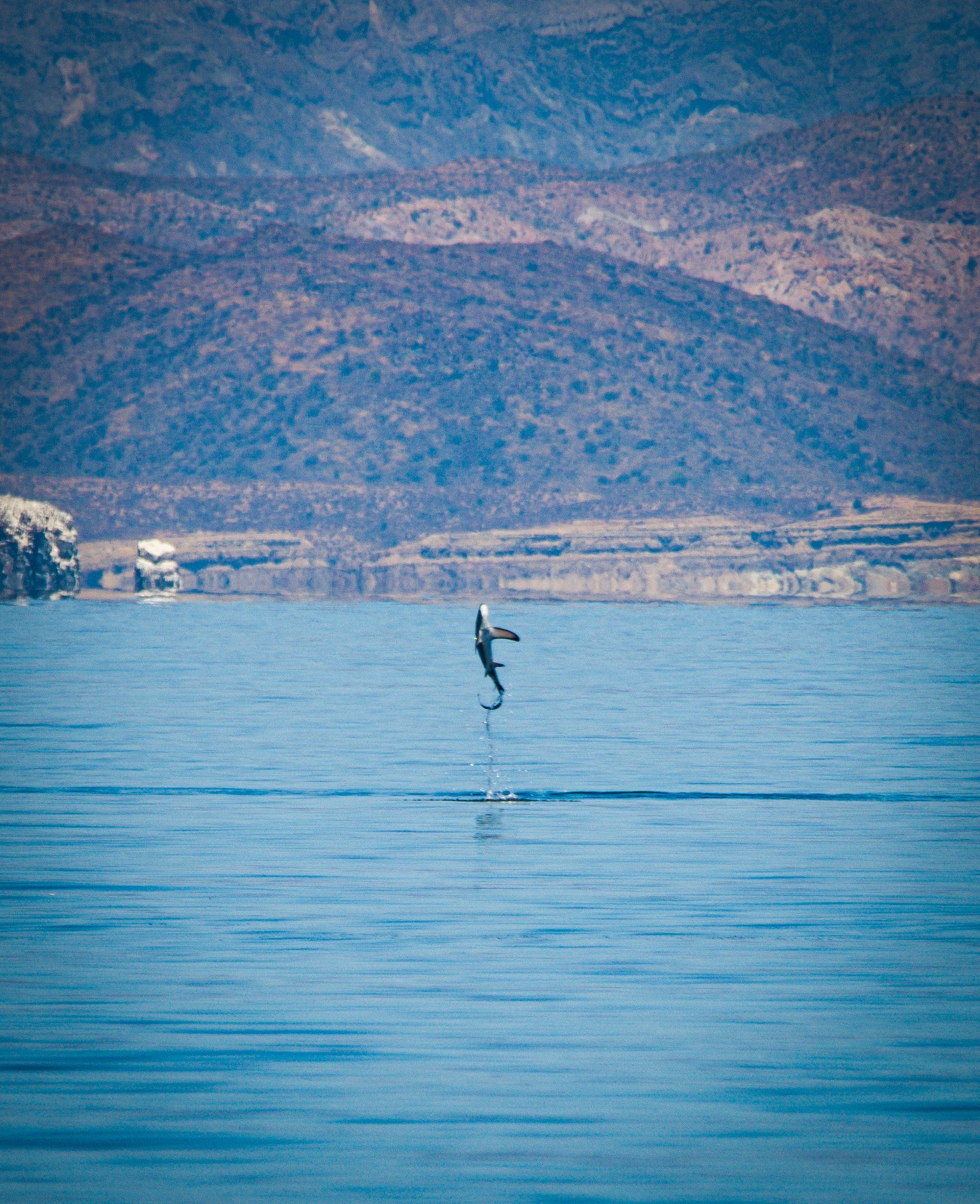 DSC_4903.jpg