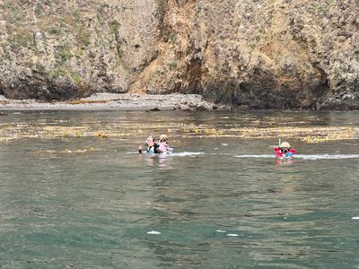 Snorkeling in the Channel Islands
