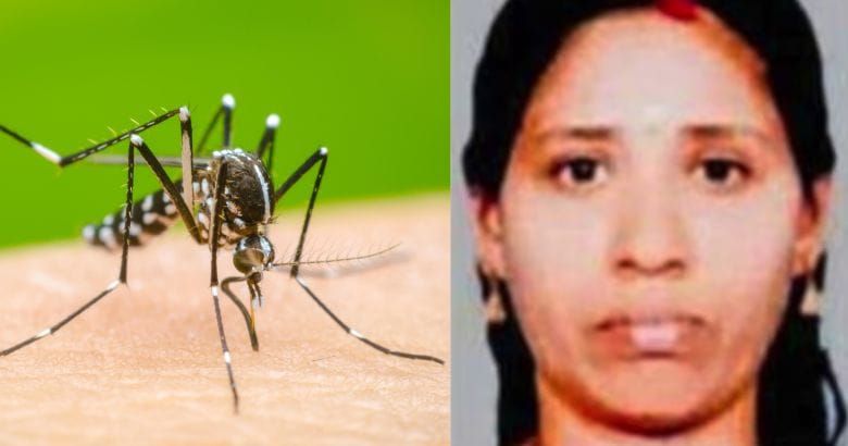 സംസ്ഥാനത്ത് ഡെങ്കിപ്പനി ഭീഷണി ശക്തം; പാലക്കാട് വീണ്ടും മരണം