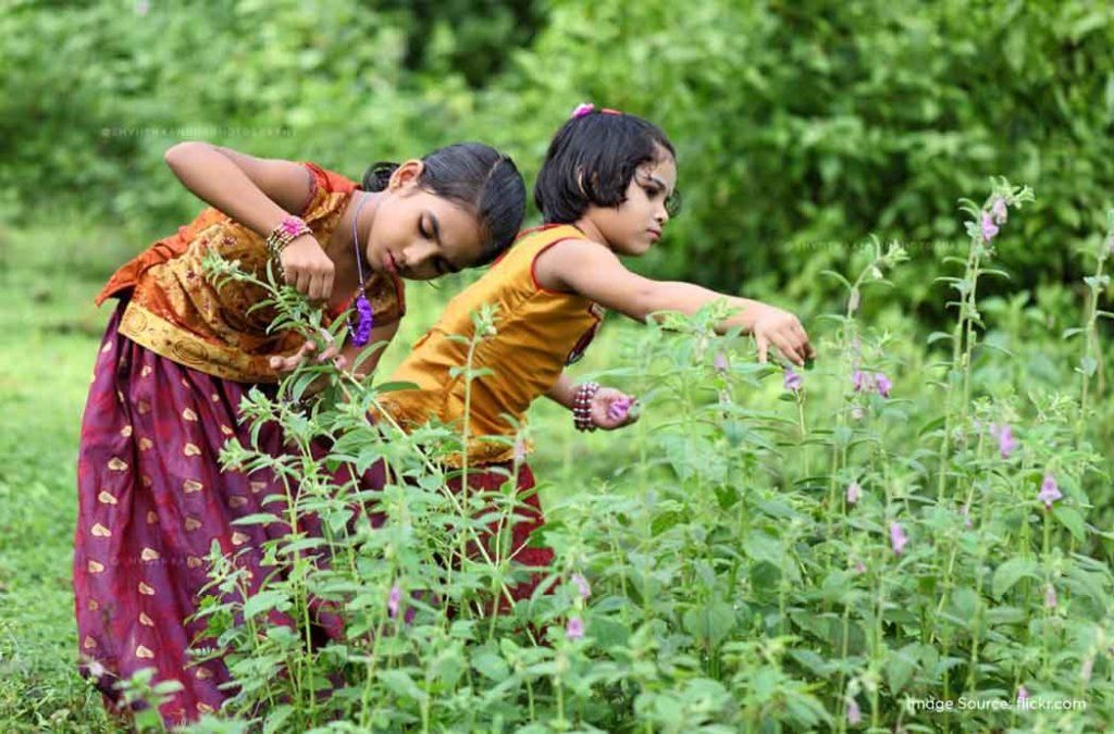 അത്തം പിറന്നു, ഓണാഘോഷങ്ങൾക്ക് തുടക്കമായി; ഇത്തവണ പ്രത്യേകതകൾ ഏറെ