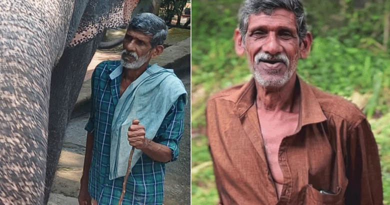 മരുന്ന് വെക്കുന്നതിനിടെ പ്രകോപിതയായി പിടിയാന; കോന്നിയിൽ പാപ്പാന് ദാരുണാന്ത്യം