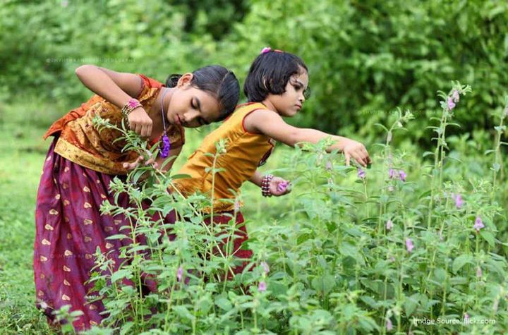 അത്തം പിറന്നു, ഓണാഘോഷങ്ങൾക്ക് തുടക്കമായി; ഇത്തവണ പ്രത്യേകതകൾ ഏറെ