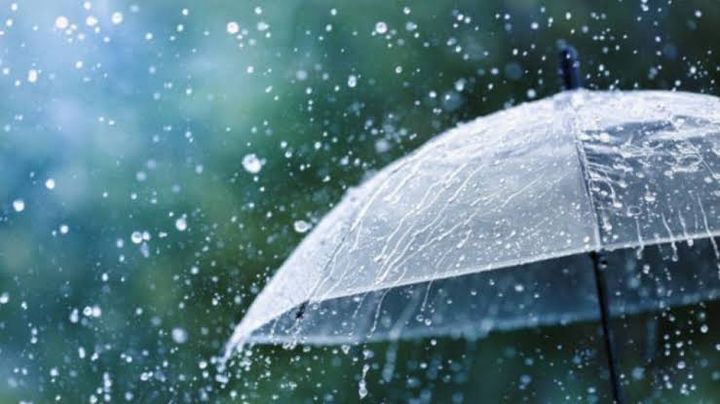 ഓണത്തിന് മഴയെത്തും; വിവിധ ജില്ലകളിൽ യെല്ലോ അലർട്ട്, കാറ്റിനും സാധ്യത