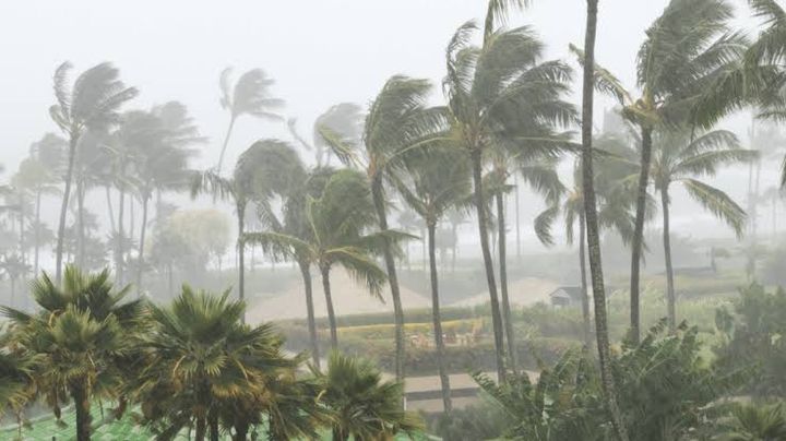 ചക്രവാതച്ചുഴിയുടെ സ്വാധീനം ശക്തം; കേരളത്തിൽ വീണ്ടും കനത്ത മഴ, എട്ട് ജില്ലകളിൽ റെഡ് അലർട്ട്