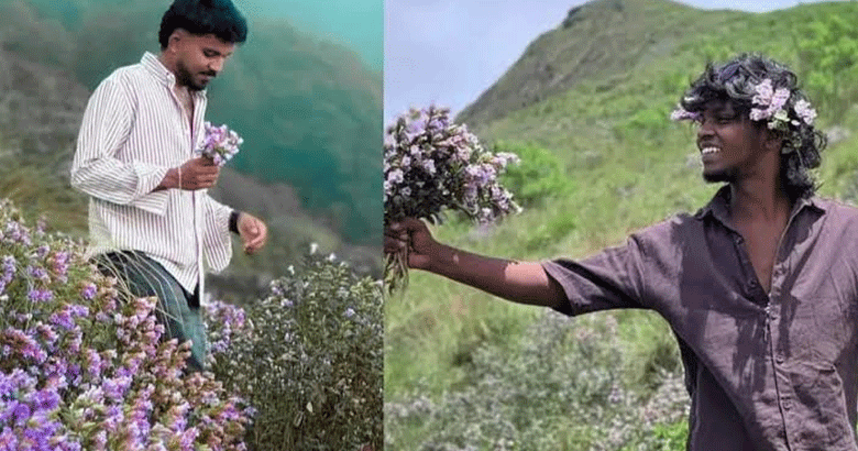 ഇടുക്കിയിൽ നീലക്കുറിഞ്ഞി പറിച്ച് ഇൻസ്റ്റാഗ്രാമിൽ ഫോട്ടോഷൂട്ട്: കേസ് എടുക്കാൻ വനംവകുപ്പ്; യുവാക്കൾക്കായി തിരച്ചിൽ