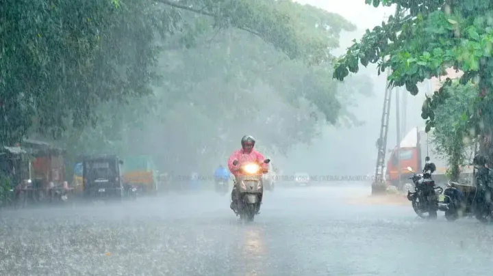 മഴ കനക്കും, ഇടിമിന്നലിനും കാറ്റിനും സാധ്യത; വിവിധ ജില്ലകളിൽ യെല്ലോ അലർട്ട്