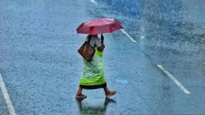 മഴയില്ല, ചൂടും കുറയുന്നില്ല; കേരളത്തിൽ 28% മഴക്കുറവ്