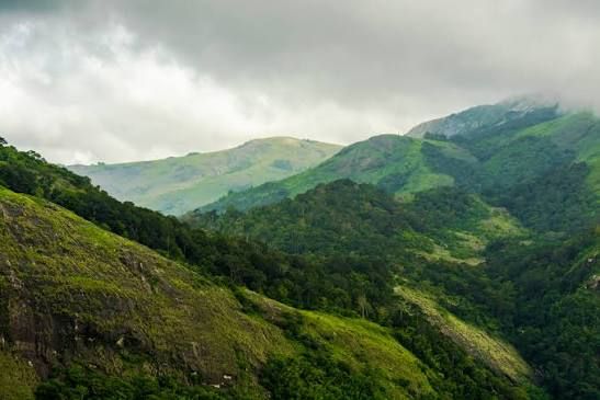 മഴ ശക്തമാകുന്നു; നെല്ലിയാമ്പതിയിലും അട്ടപ്പാടിയിലും വിനോദസഞ്ചാര യാത്രകൾക്ക് നിയന്ത്രണം
