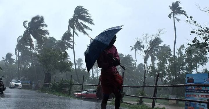 കേരളത്തിൽ തുലാവർഷമെത്തുന്നു; വ്യാഴാഴ്ച മുതൽ മഴ ശക്തമാകും, വിവിധ ജില്ലകളിൽ യെല്ലോ അലർട്ട്