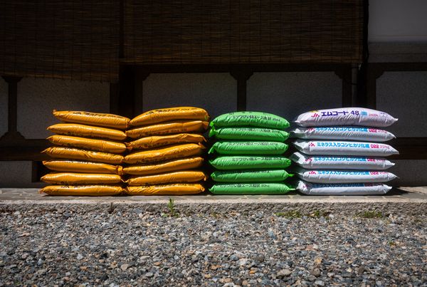 Photos That Survive Software: Building an Archive That Lasts