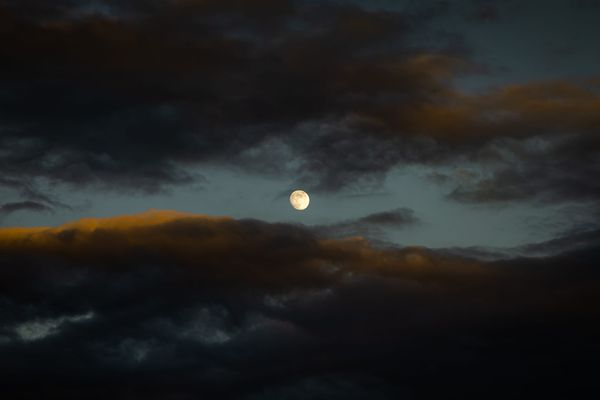 Introducing Moonquake: A Newsletter on Life and Projects