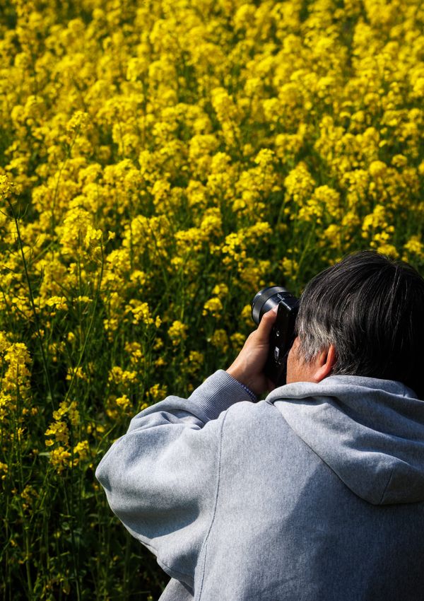 Why I Walk and Take Photos