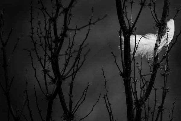 What the Hello Was That?!