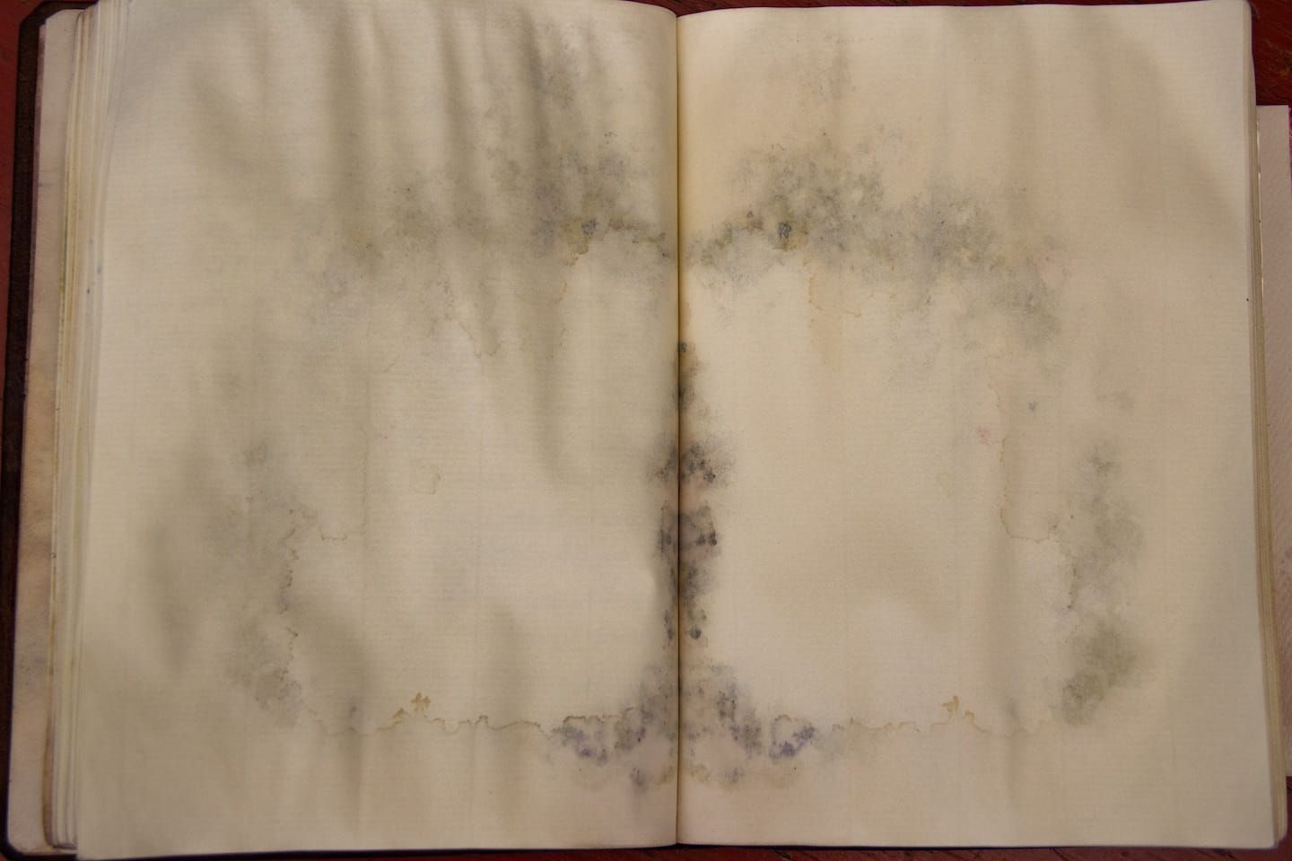 About this site, about me