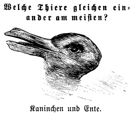 Why the Duck-Rabbit? Disorientation, Ambiguity and Its Tenderizing Effects