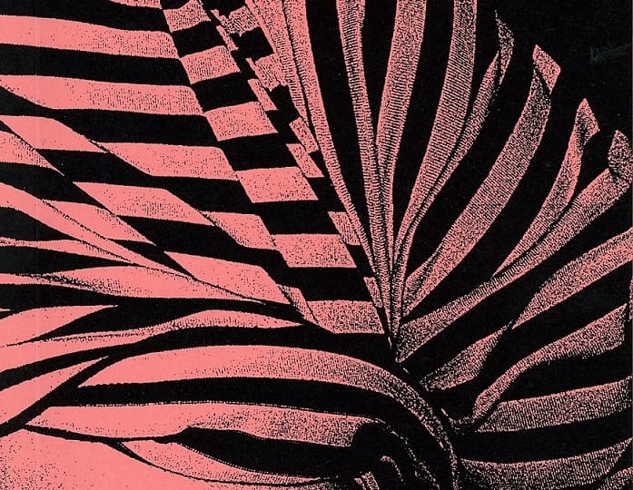 Cover image of Daido Moriyama's A Room/Type B.