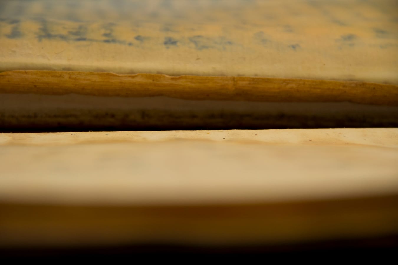 Untitled, from the series Waterlogged, by Stacy Platt