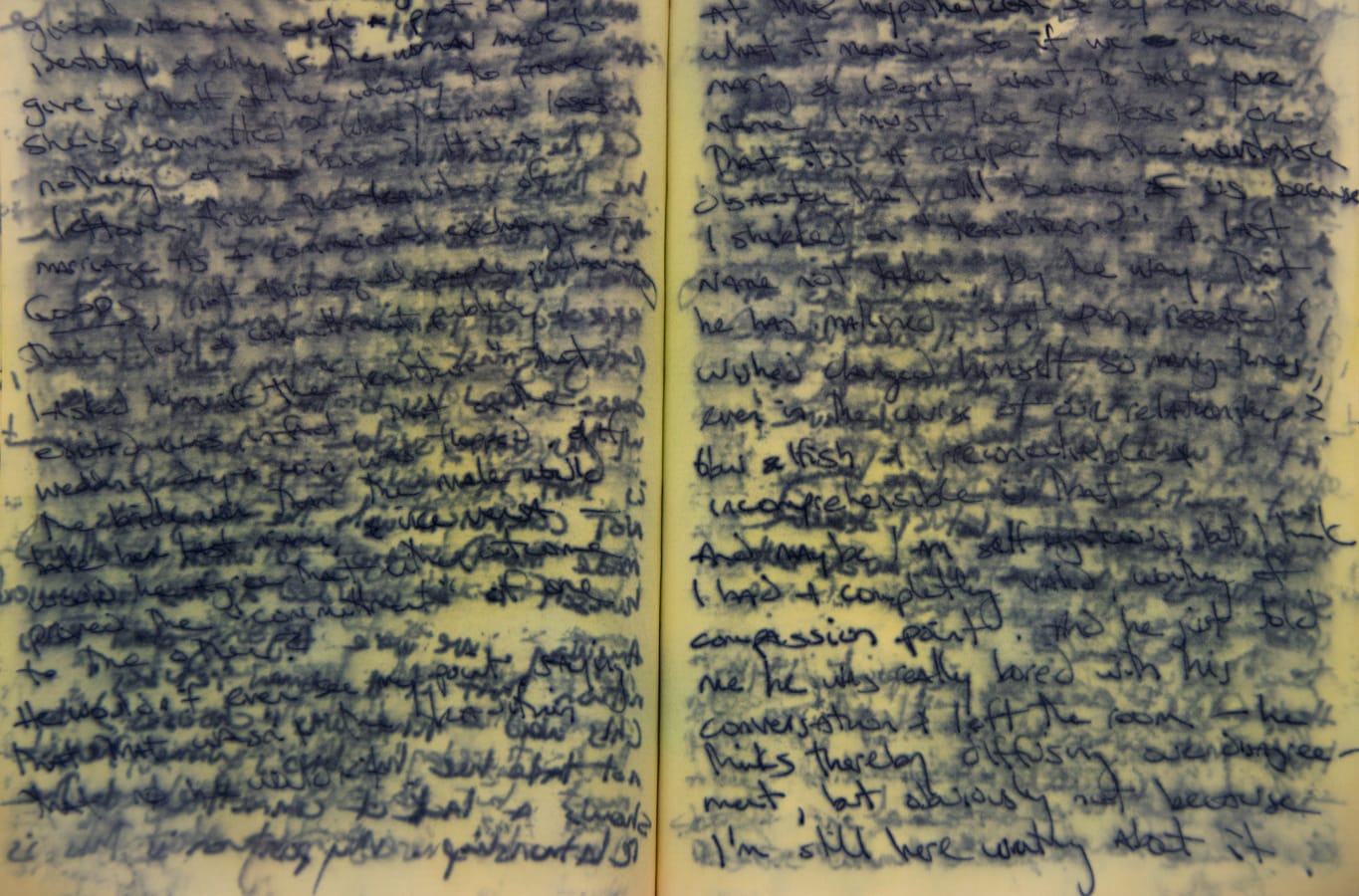 Untitled, from the series Waterlogged, by Stacy Platt